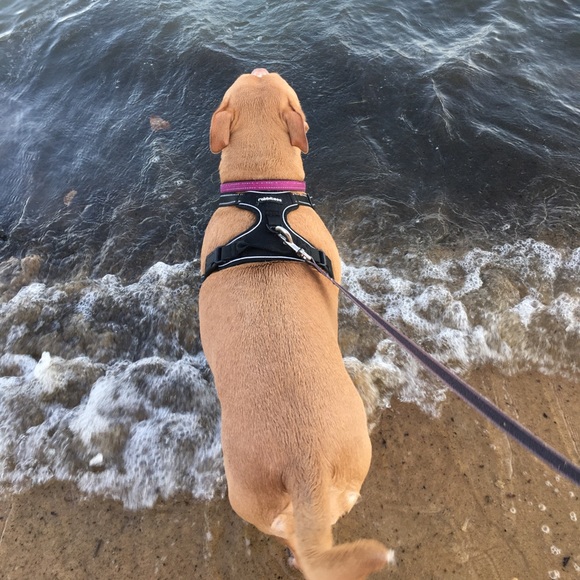 Meet your Posher, Stephanie - Picture 1 of 1